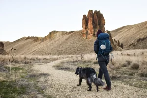 Essential Hiking With Dogs Tips