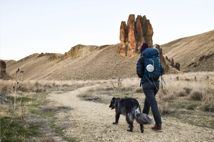 Essential Hiking With Dogs Tips