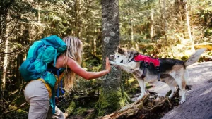hiking with dogs tips